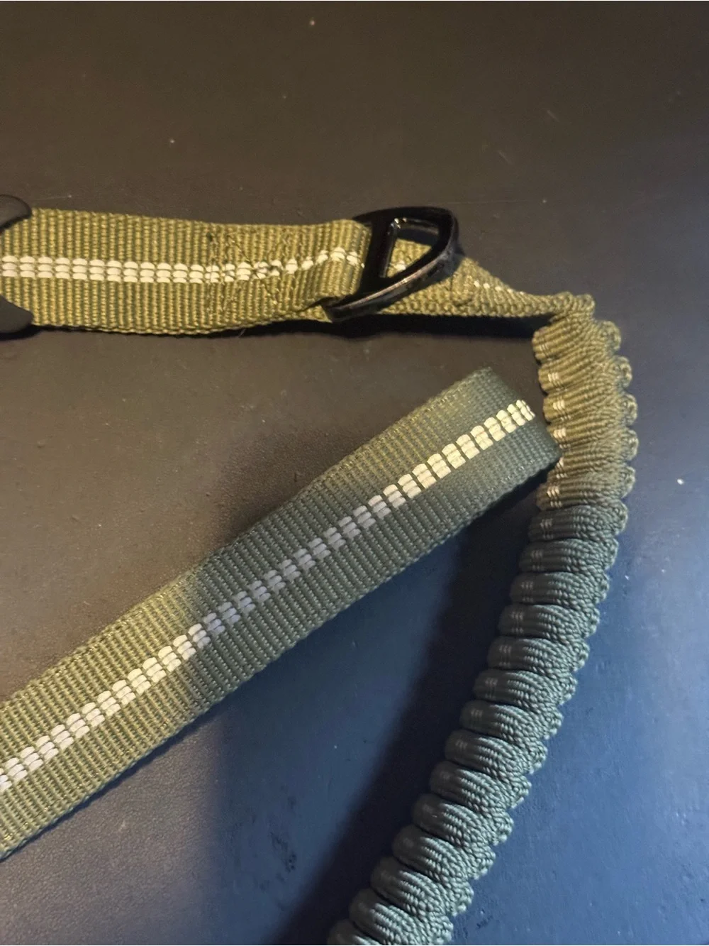 Green bungee leash with frog clip